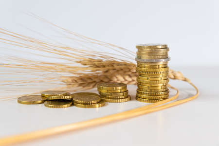 Ears of wheat on a clear surface, and coins beside it. Cost of grain, price increase, grain prices.の写真素材