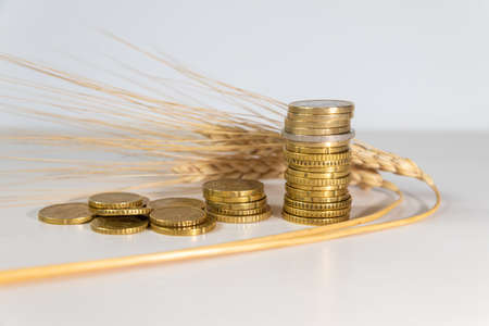 Ears of wheat on a clear surface, and coins beside it. Cost of grain, price increase, grain prices.の写真素材