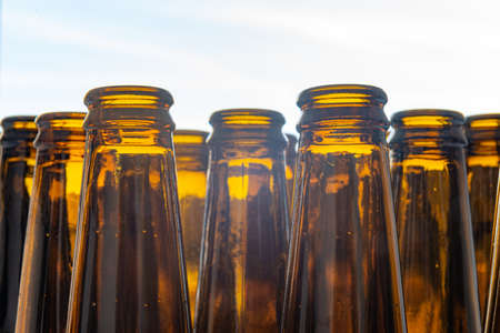 Empty glass beer bottles, brown in color, arranged side by side and photographed against the light.の写真素材