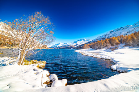 Engadine, Switzerland, Sils Maria lake, the village of Isola and the snowy landscape.の写真素材