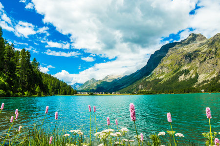 A view of the Upper Engadine, Lake Silvaplana, and the village of Segl, in summer.
