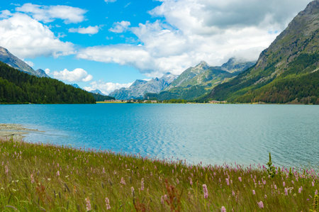 A view of the Upper Engadine, Lake Silvaplana, and the village of Segl, in summer.の写真素材
