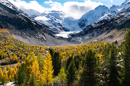 A close-up view of the Morteratsch glacier in autumn, Engadin, Switzerland.の写真素材
