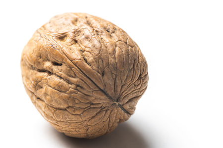 Whole walnut, photographed close up, on white surface.