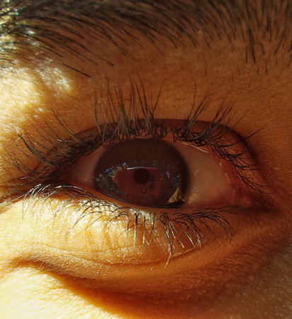 Detail of brown eye with large and voluminous eyelashes, thick eyebrow, retinal reflection and...