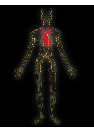 Vector nervous system of the personのイラスト素材