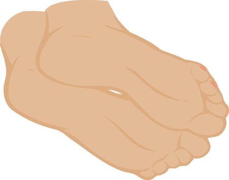 Vector illustration of a foot of feet on a white background のイラスト素材