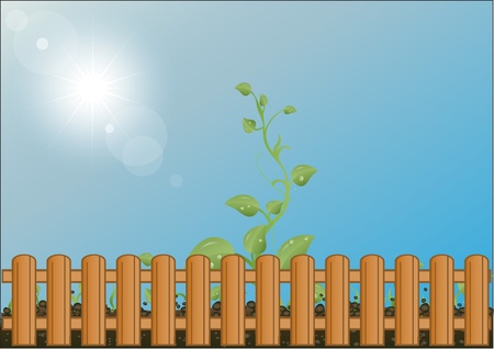 Vector illustration green sprouts against the sky and the sun behind a wooden fenceのイラスト素材