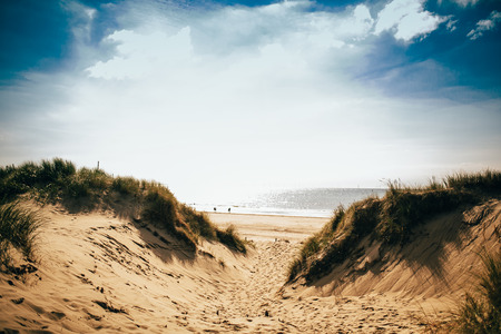 sea netherlands sand lighthouse beachの写真素材