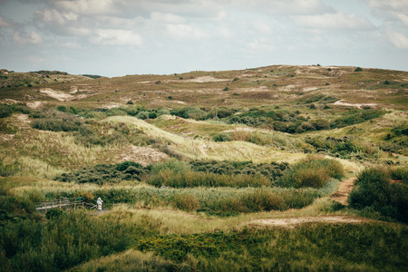 sea netherlands sand lighthouse beachの写真素材