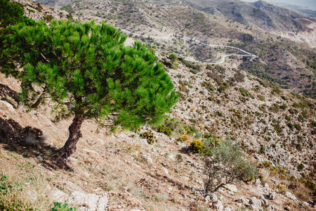 andalusia spain travel view europeの写真素材