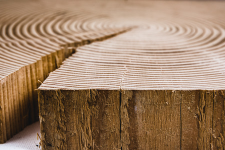 Wood texture of cut tree trunkの写真素材