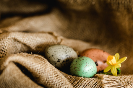easter eggs on the rustic sackcloth backgroundの写真素材