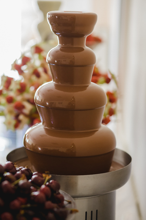 catering service buffet wedding eventの写真素材