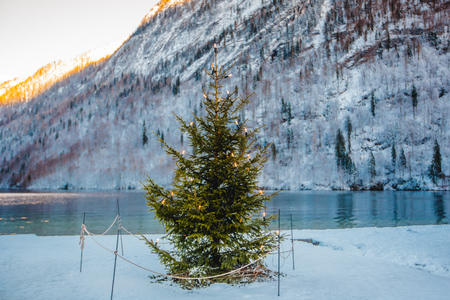 winter koenigssee bayern alps landscapeの写真素材