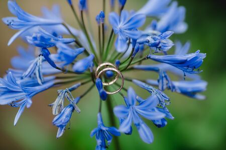 wedding church ceremony decoration flowersの写真素材