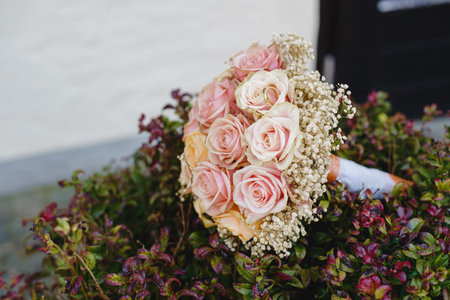 Wedding bouquet of pink roses and white gypsophilaの写真素材