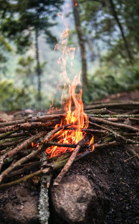Bright big campfire in the forest, camping outdoors adventure, warm and cosy place in the mountains,...