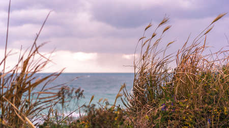 sand dunes and grass on the beach, cold cloudy and windy weather at the seashore, soft focus, beautiful cloudy sunset, dramatic sky and weather, film noiseの写真素材