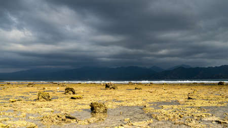 low tide on the beach in Indonesia, dramatic cloudy sky over the shoreline before the rain, soft focus, film noise. Bali seascape and landscapeの写真素材