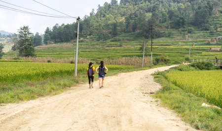 A group of female tourists walking in the countryside road in a village of Nepal, paddy fields in Asia, hiking tourの写真素材