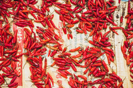 red hot chili peppers, process of drying chilli on the sun, flatlay of spicy pepperの写真素材