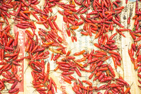 red hot chili peppers, process of drying chilli on the sun, flatlay of spicy pepperの写真素材