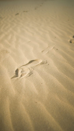 close up footprints in the sand, state of a mind concept, travel and vacation, walking on the beach...
