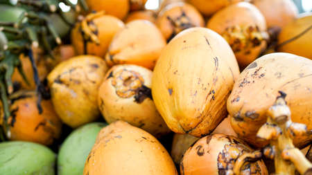 Golden king coconuts, a pile of raw and ripe coconuts. Coconut oil ingredient, fruit market in Asia, Hainan Island in China.の写真素材