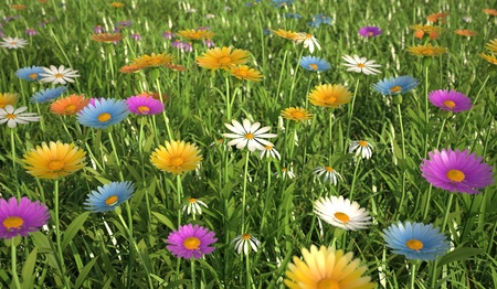 Close up view of a grass filed, plenty of multicolored flowers.の写真素材