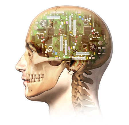 Male human head with skull and artificial electronic circuit brain in ghost effect, side view. Anatomy image, on white background, with clipping path.の写真素材