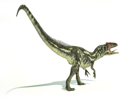 Allosaurus Dinosaur, photorealistic and scientifically correct representation, dynamic posture. On white background with drop shadow. Clipping path included.の写真素材