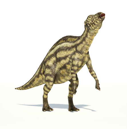 Maiasaura dinosaur, young child, full body photorealistic representation, scientifically correct. Dynamic viewの写真素材