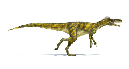 Herrerasaurus dinosaur, photorealistic representation, scientifically correct. Side view,  with open mouth. の写真素材