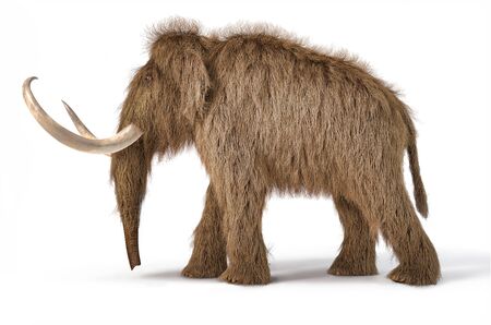 Woolly mammoth realistic 3d illustration viewed from a side. On white background with dropped shadow.の写真素材
