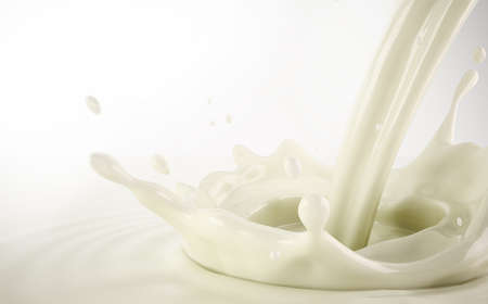 Milk pouring with crown splash in milk pool with ripples. Close up bird eye view. On white background.の写真素材