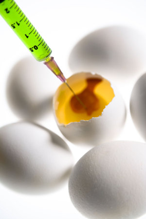 egg concept