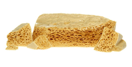 spongeの写真素材