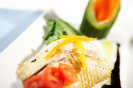 fishの写真素材
