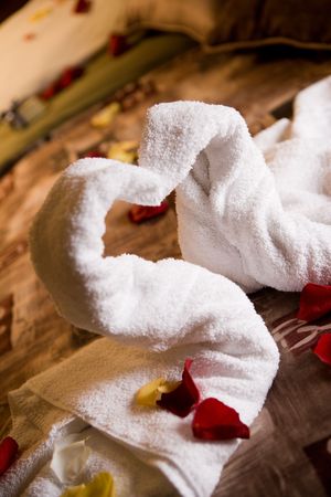 towel loveの写真素材