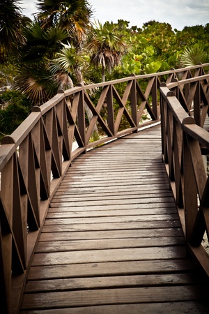 Brown Wood Bridge with palm trees landscapeの写真素材