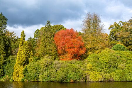 Colourful autumnal foliage on a sunny dayの写真素材