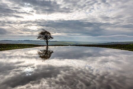 Reflections of a tree and clouds in a dew pond, at Ditchling Beacon in Sussexの写真素材