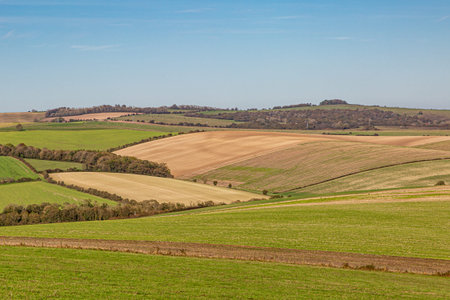 An autumnal patchwork landscape in Sussex, on a sunny day