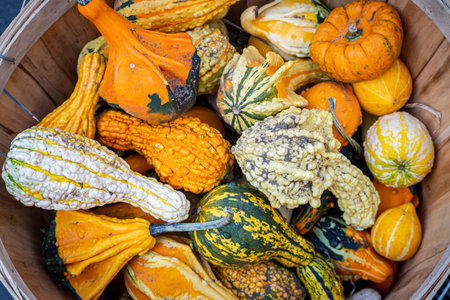 Looking down at a basket of colourful gourds for sale on a farmers market stall
