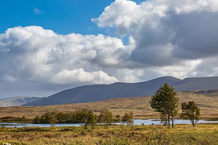 Trees in front of Loch Ba in the Scottish Highlandsの写真素材