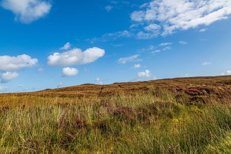 Autumnal colours in the countryside, on the Hebridean island of North Uistの写真素材