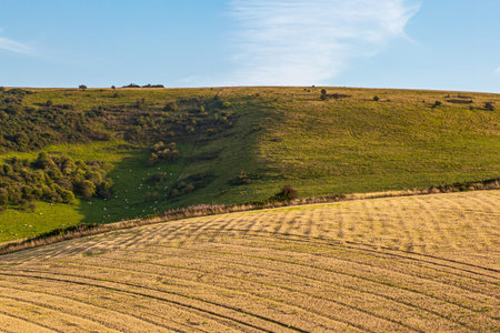 A rolling Sussex landscape on a sunny summers evening