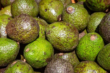 An abundance of avocados for sale on a market stall