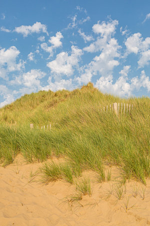 Marram grass covered sand dunes at Formby in Merseyside, on a sunny summers day